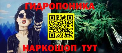 mdpv Краснознаменск