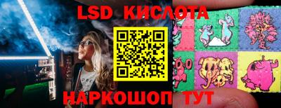 mdpv Краснознаменск