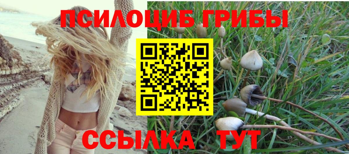 Псилоцибиновые грибы GOLDEN TEACHER Шебекино