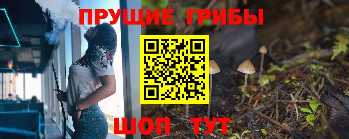 Шебекино  Псилоцибиновые грибы Cubensis  где найти   Вход с VPN 